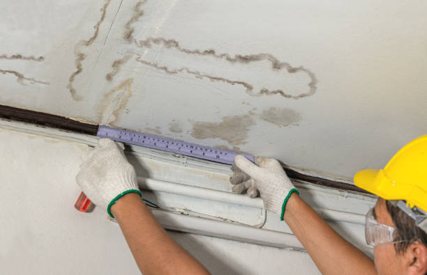 Reliable Flood Cleanup contractor in Fingal, ND by Water Damage Irwin